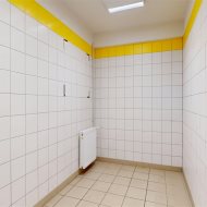 Lokal na wynajem