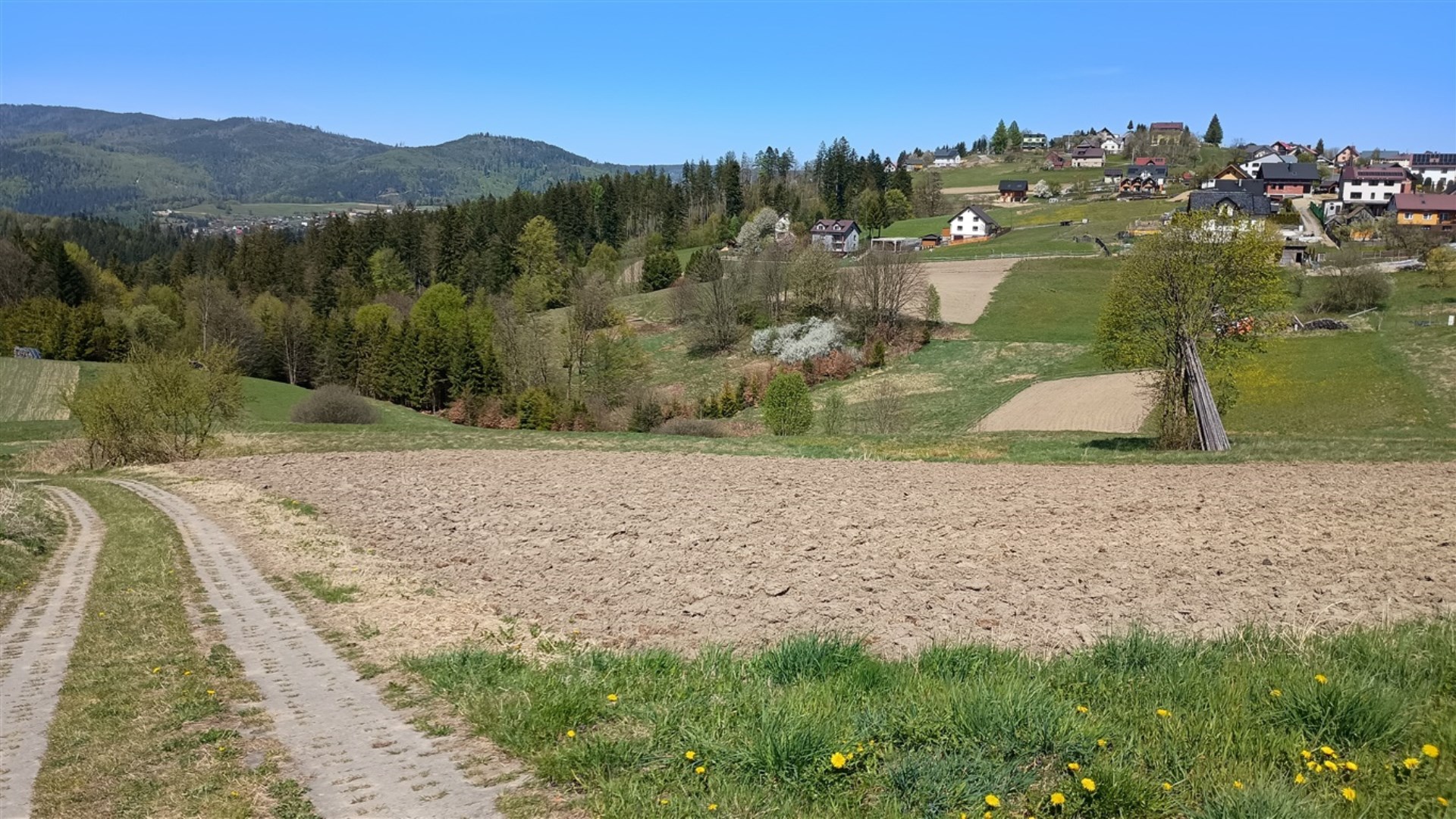Działka na sprzedaż